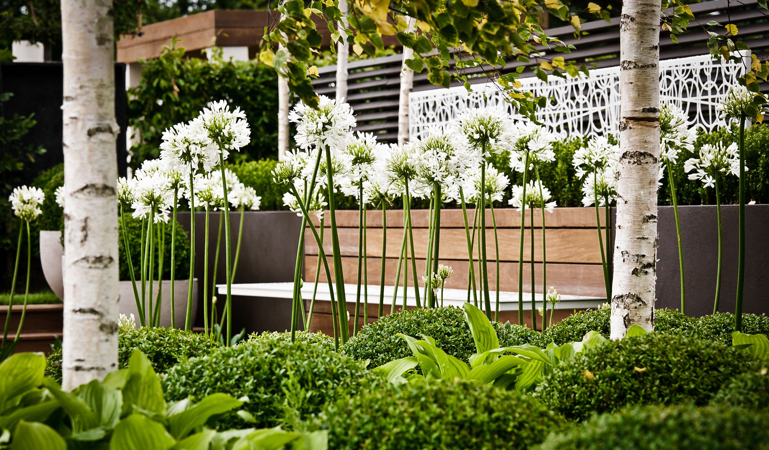 Contemporary Contemplation