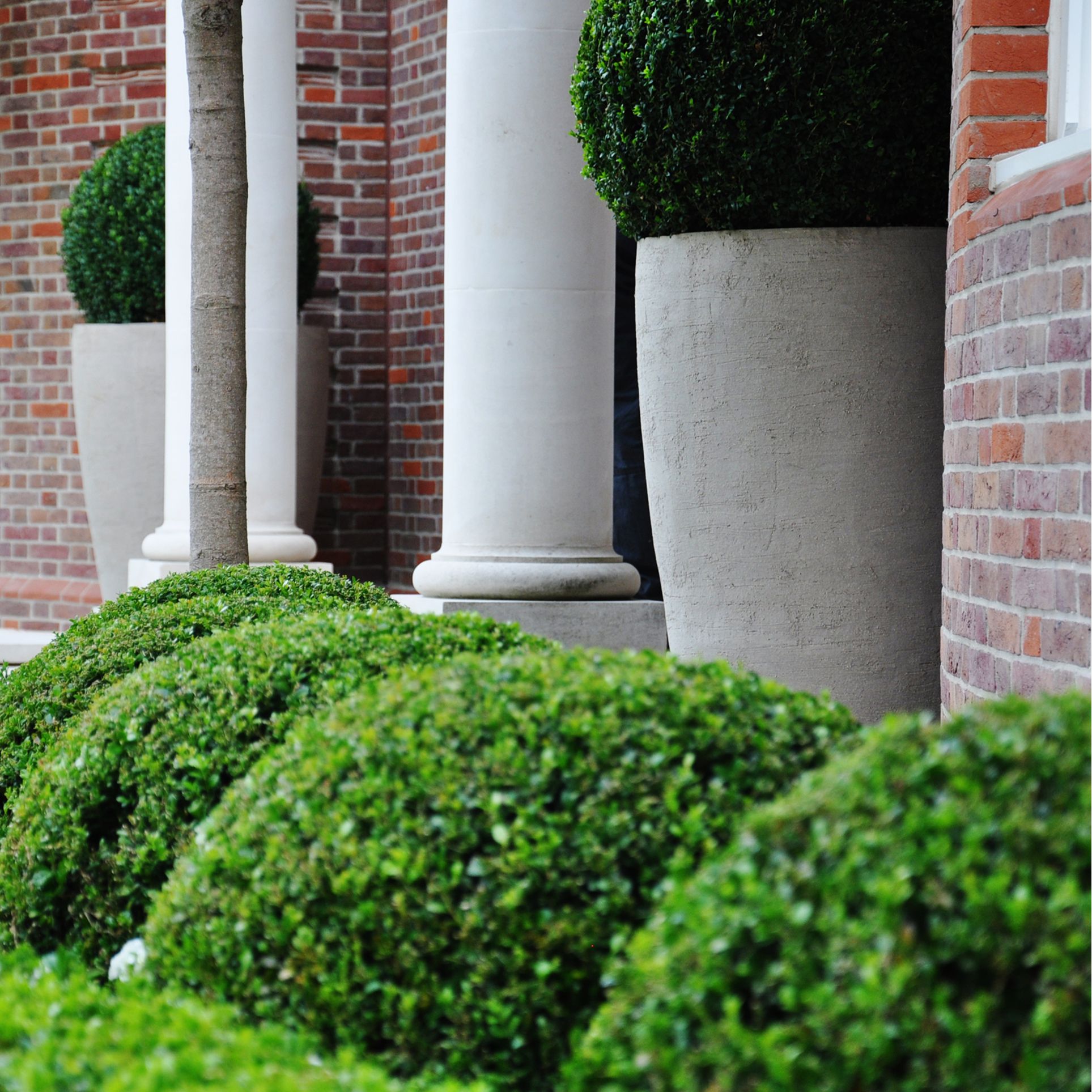 The London collection