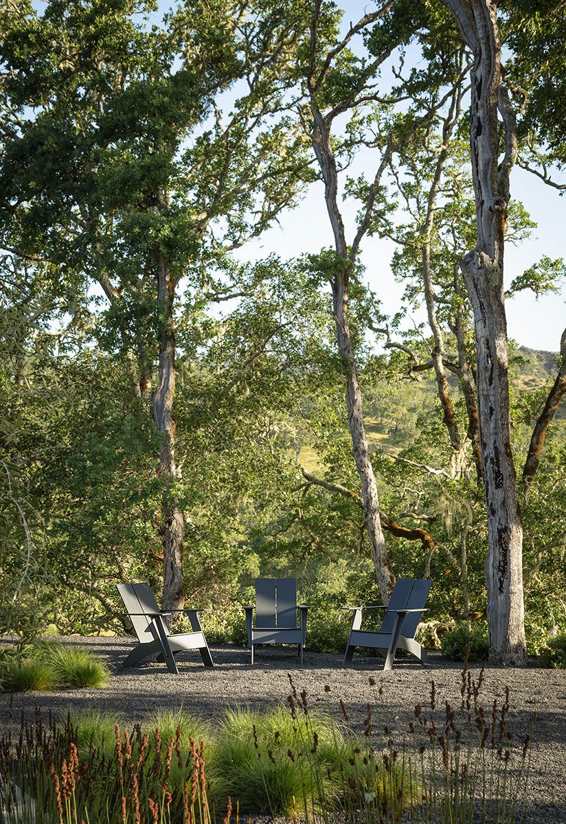 our landscape story image